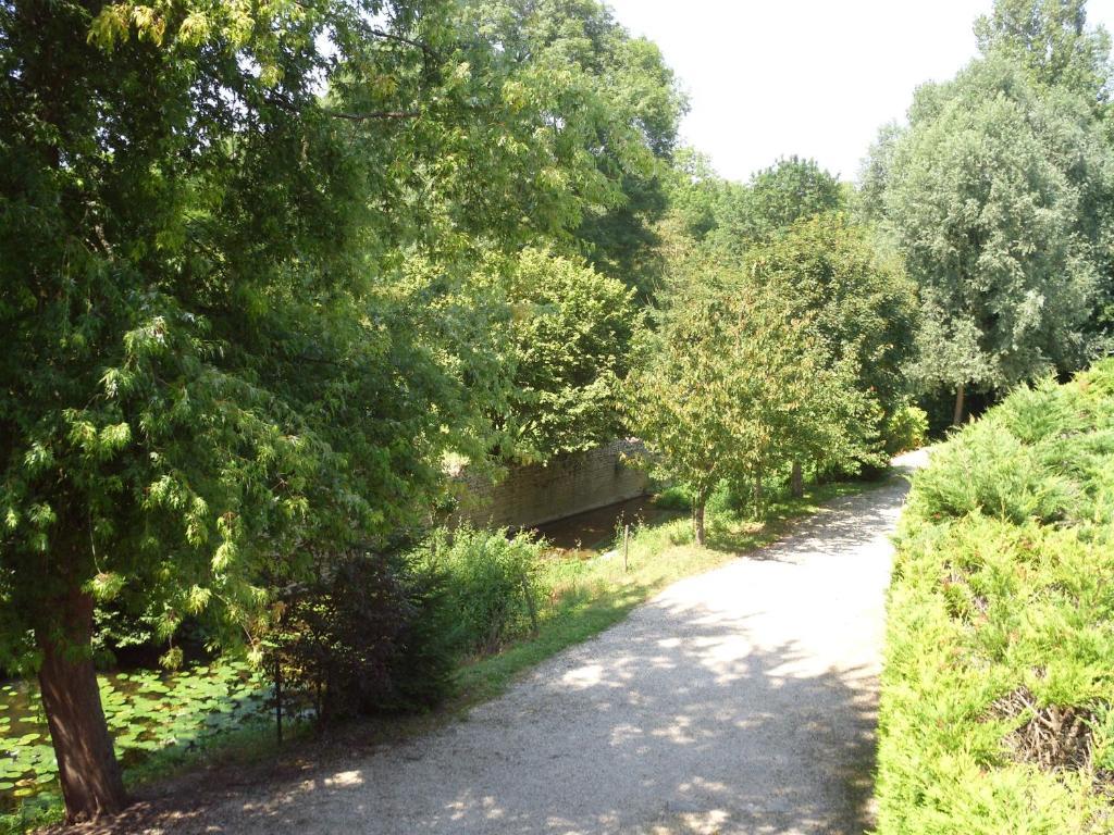 Le Moulin De Poilly Bed & Breakfast Room photo